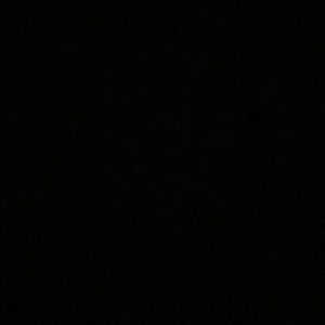 Meet your Posher, Eden